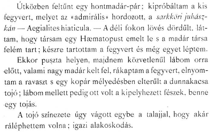 Herman Ott�: Az �szaki mad�rhegyek t�j�r�l